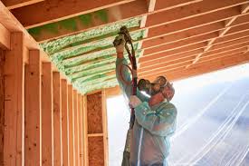 Best Eco-Friendly or Green Insulation Solutions  in Tappan, NY